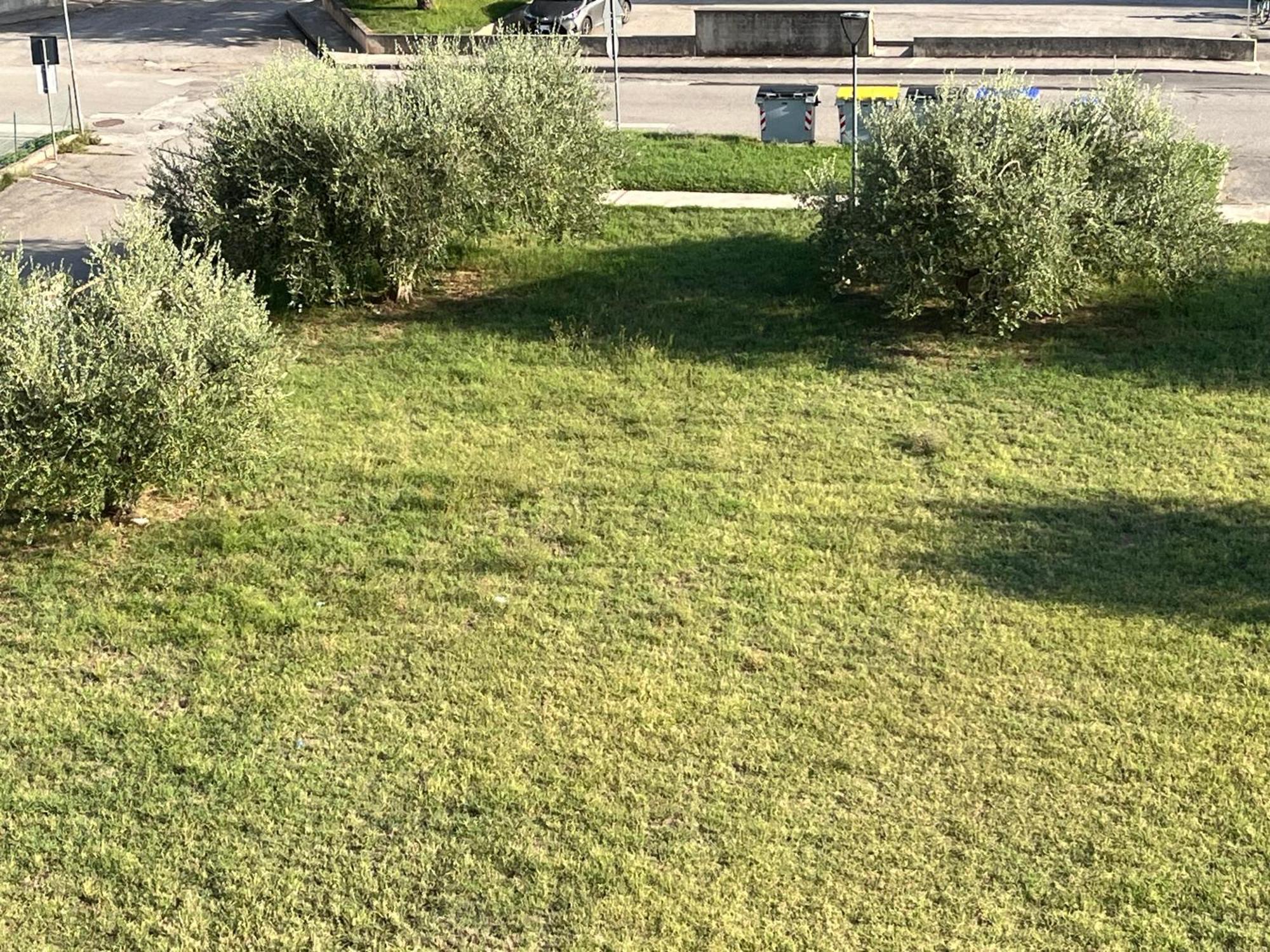Casa Ivana Castiglione del Lago Luaran gambar